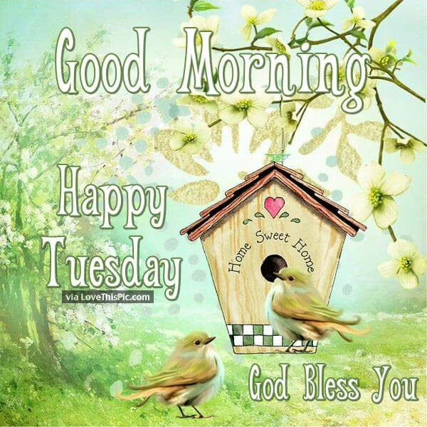 Photo 252676 God Bless You Good Morning Happy Tuesday Tuesday