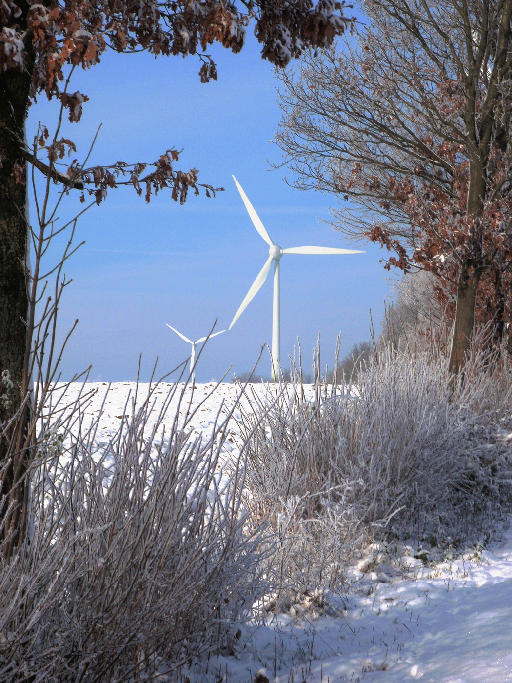 Winteridylle und Windenergie :-)