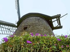 Windmühle Westhoyel